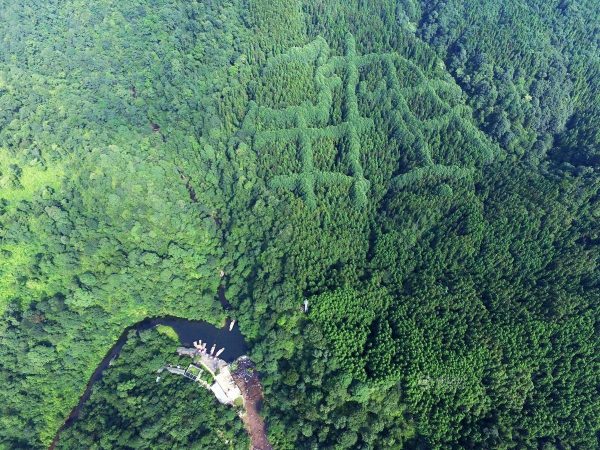 The unusual pattern was seen on the mountain. (Image: Tencent.com)