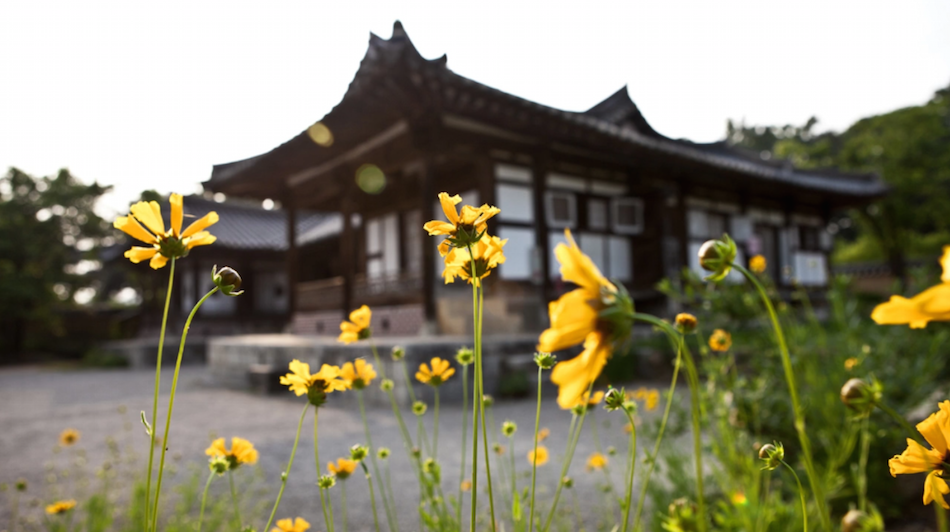 The layout is a lotus flower floating on water which according to Korean geomancy symbolizes fertility, prosperity, and longevity for the occupants of the house. (Image via Jarrod Hall / Vimeo Screenshot)