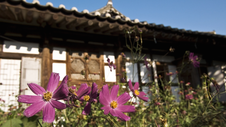 Seon Byeong-guk House. (Image via Jarrod Hall / Vimeo Screenshot)