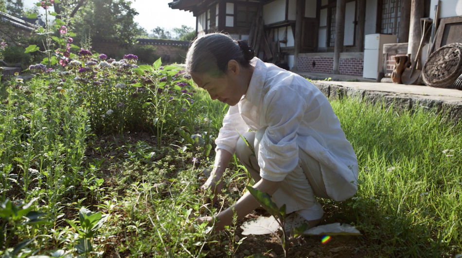 Hong Yonghee working in her garden. (Image via Jarrod Hall / Vimeo Screenshot)
