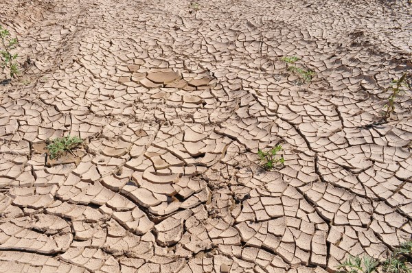 A region plagued by prolonged drought caused a mass exodus of peasants. (Image: pixabay / CC0 1.0)