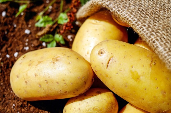 Lao Wang joined the flow of refugees out of his village with his only worldly possession, a bag of potatoes. (Image: pixabay / CC0 1.0)
