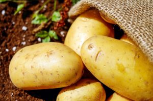 A sack of potatoes.