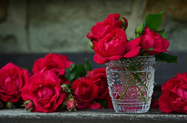 roses-821705_1280