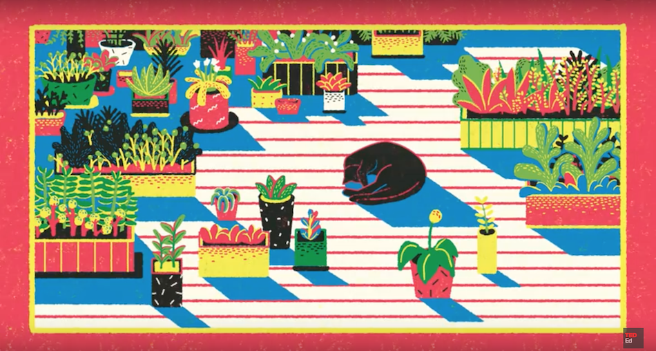 Just like animals, plants produce all kinds of chemical signals in response to their environments. (Image: TED-Ed via YouTube/Screenshot)