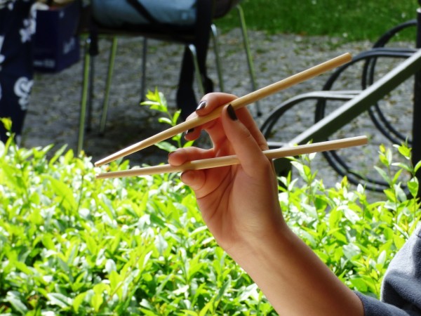 Chopsticks have been a part of Chinese life since ancient times. (Image: pixabay / CC0 1.0)