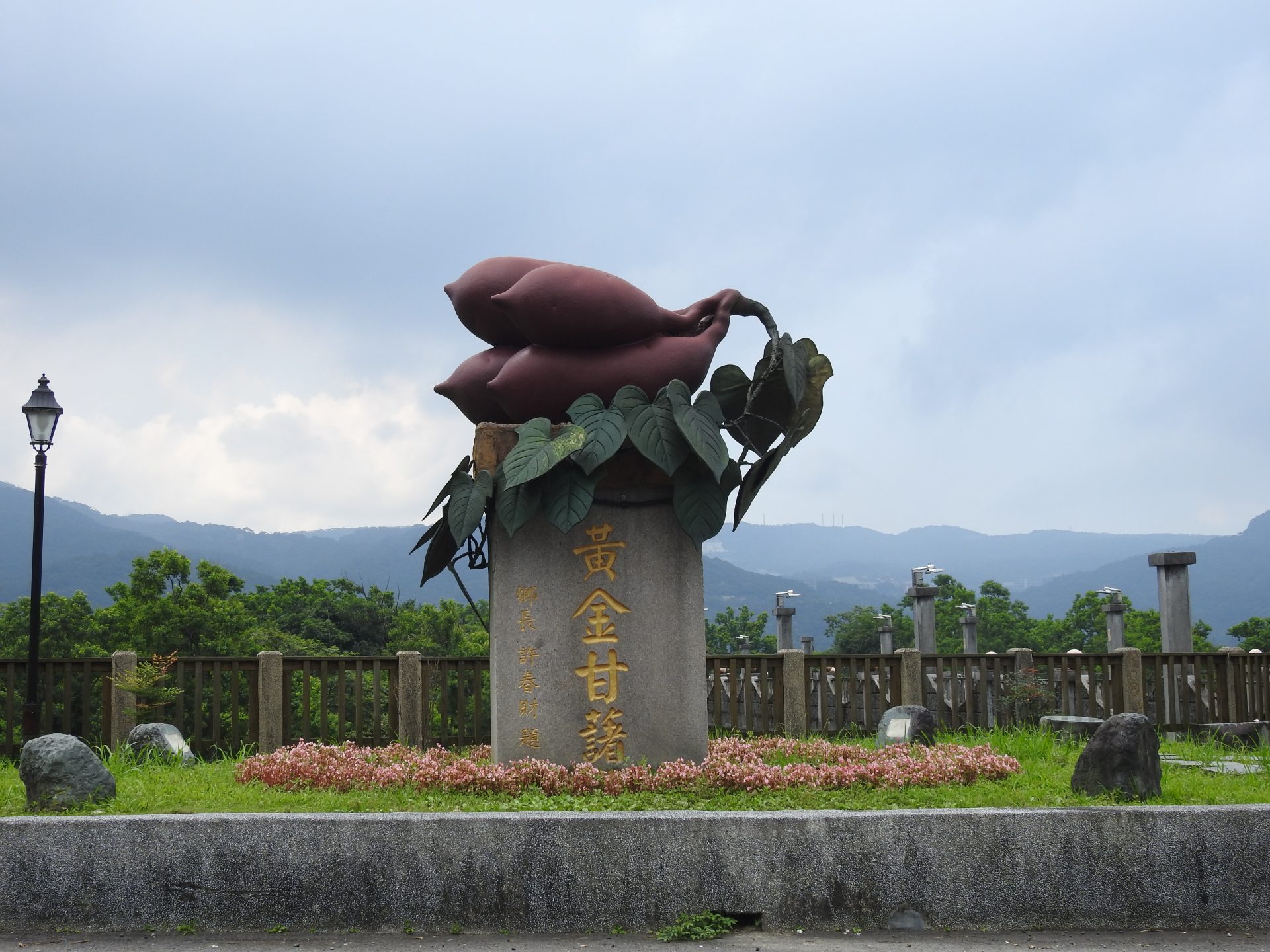 New Taipei City’s Jinshan District in northern Taiwan is famous for tasty sweet potato. (Image: Billy Shyu/ Vision Times)