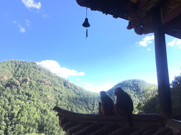 IMG_0887_Temple-on-Cliff_Wild-Monkey