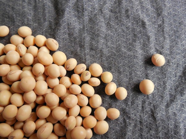 How to make a soybean pillow. (Image: pixabay / CC0 1.0)