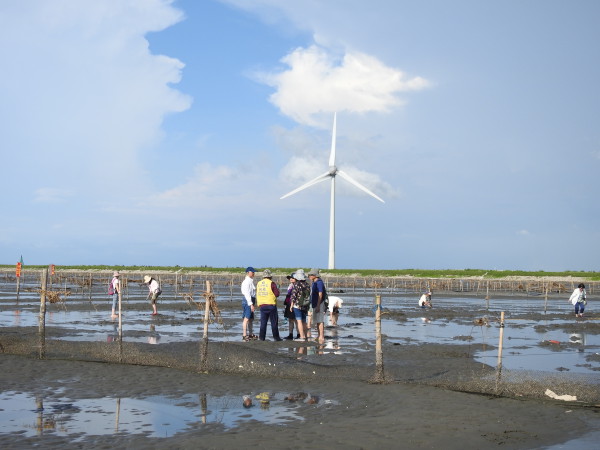 Another iconic feature of Wanggong Village is the ten units of massive windmills set up by the seashore. (Image: Billy Shyu/ Vision Times)