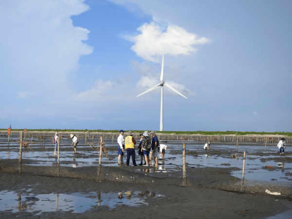 Another iconic feature of Wanggong Village is the ten units of massive windmills set up by the seashore. (Image: Billy Shyu/ Vision Times)