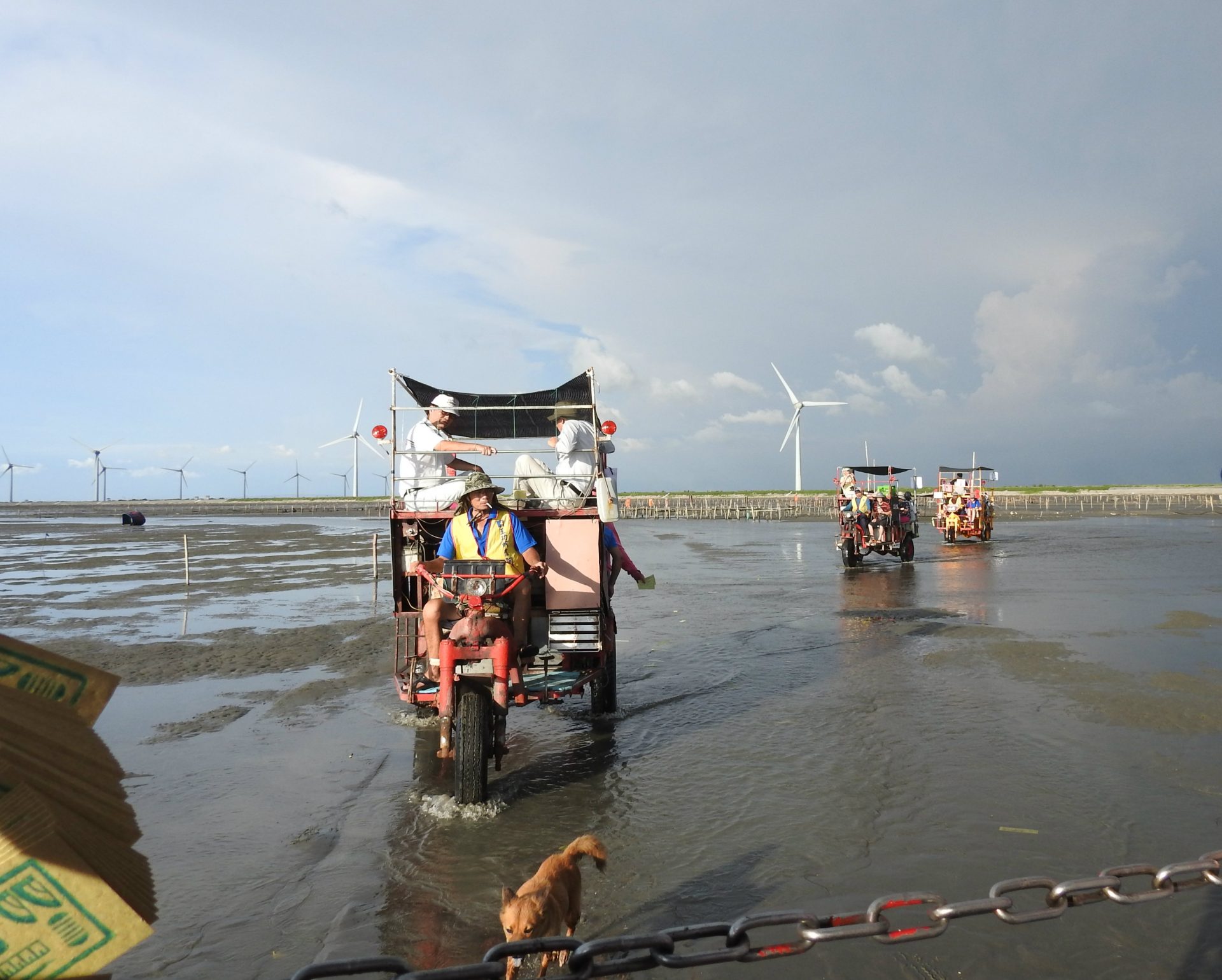 A unique three-wheel oyster truck transporting visitors to the intertidal zone in Wanggong (Image: Billy Shyu/ Vision Times)