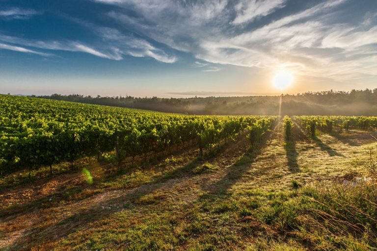 Technology has made our lives easier and more productive, and it’s starting to do the same for agriculture. (Image: pixabay / CC0 1.0)