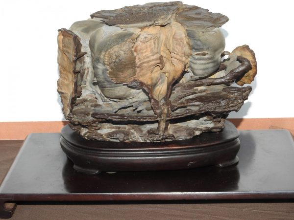 A beautifully-shaped stone is displayed at the 2017 Han Feng Bonsai Exposition in Taipei. (Image: Billy Shyu)