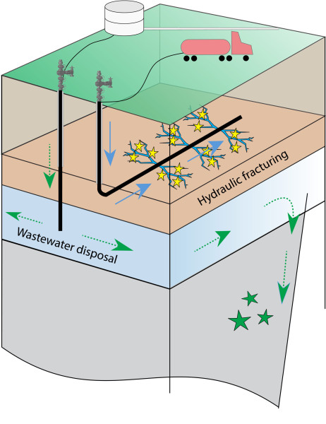 Small earthquakes (yellow stars) can be induced during hydraulic fracturing when high-pressure fluid (blue arrows) is pumped into horizontal wells to crack rock layers containing natural gas. Earthquakes (green stars) can also be induced by disposal of wastewater from gas and oil operations into deep vertical wells. Over time, the disposal layer migrates away from the well (dashed green arrows), destabilizing preexisting faults. (Image credit: Clara Yoon)
