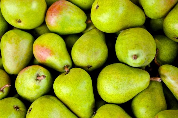 Pears can help to clear the lungs and with coughing, but the energy nature of pear is cold, so it must be prepared differently for different people. (Image: pixabay / CC0 1.0)