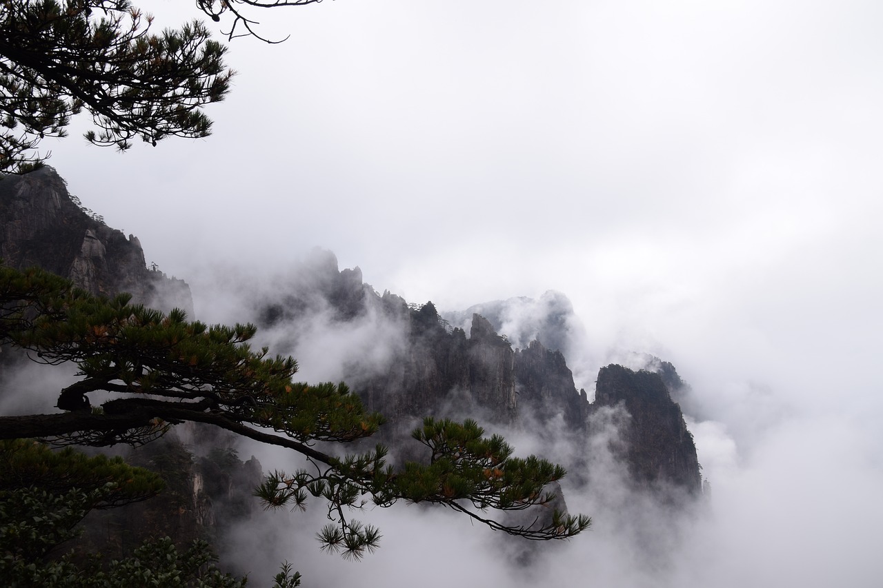 Image via pixabay / CC0 1.0)