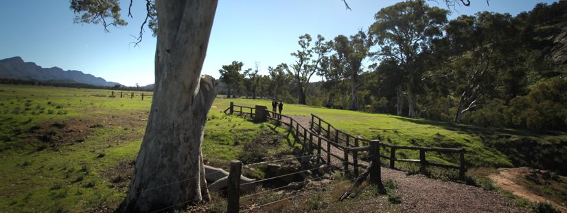 ikara-flinders-ranges-tree-bridge-hero