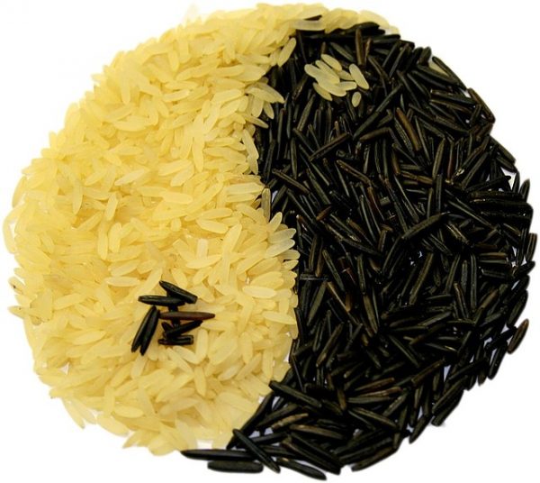 Brown rice ranks high as one of the healthiest rice variants. (Image: pixabay / CC0 1.0)