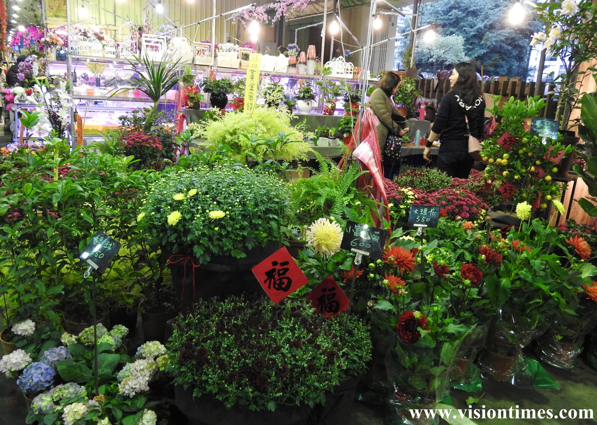 There are 250 peonies in 10 different breeds on display along with popular local flowers at Jianguo Holiday Flower Market. (Image: Billy Shyu / Vision Times)