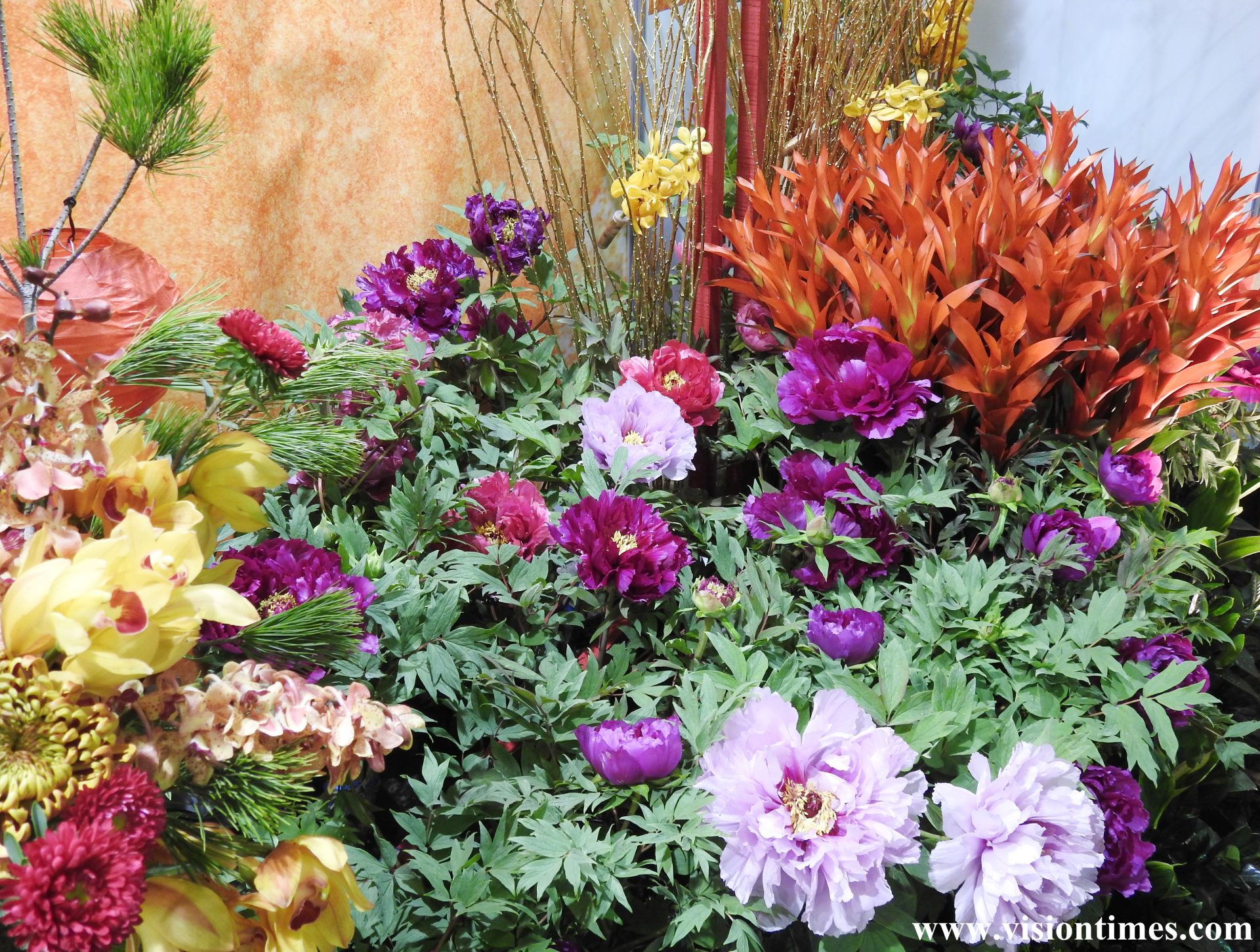 The peonies on display are from Daikon Island (大根島) in Japan’s Matsue City (松江市). (Image: Billy Shyu / Vision Times)