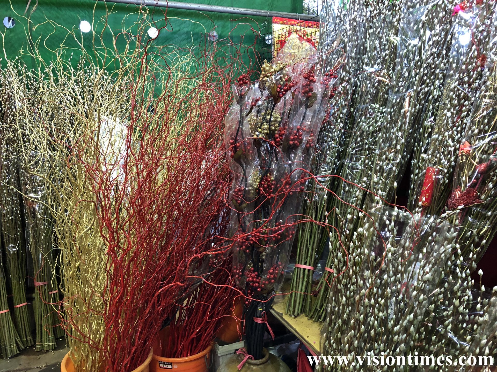 As cat-tail willow (銀柳) symbolizes improvements and breakthroughs, it's very popular on the Lunar New Year in Taiwan. (Image: Julia Fu / Vision Times)