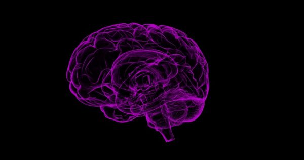 Making the connections between brain cells is key to improved cognitive functions. (Image: Pixabay / CC0 1.0)