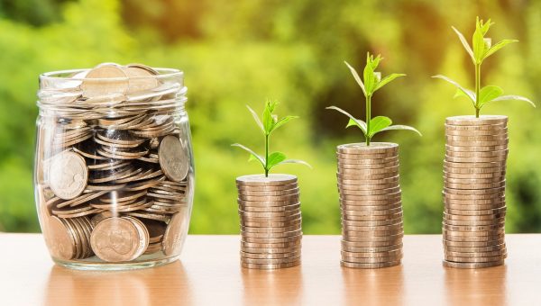 According to Mr Chan, people will be fated to succeed if they have planted the seeds for success by minding their virtue. (Image via pixabay / CC0 1.0)
