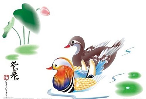 Two mandarin ducks playing in the water. (Image: NTDTV)