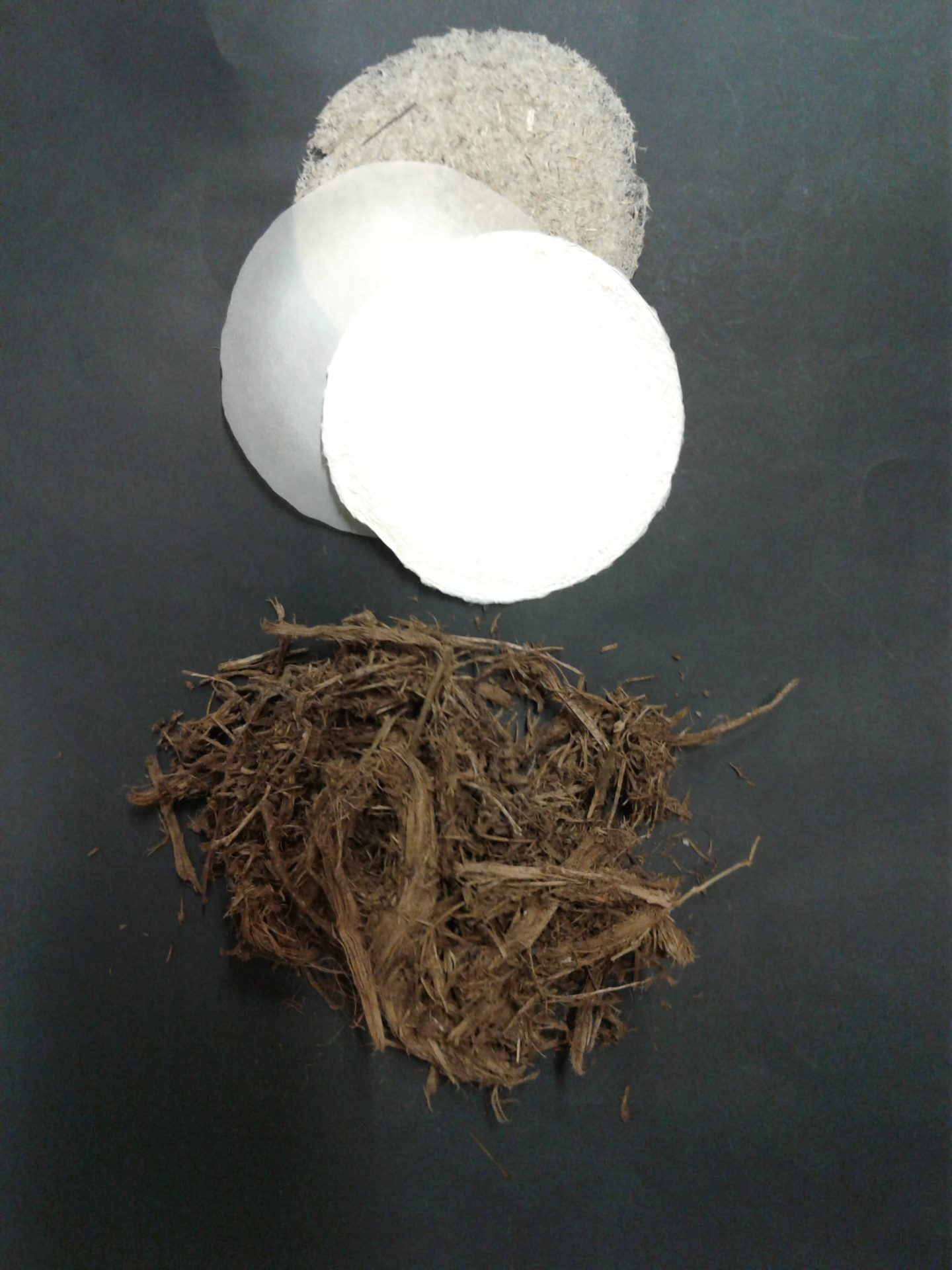 Paper (top) can be made from cellulose derived from elephant manure (bottom). Credit: Kathrin Weiland