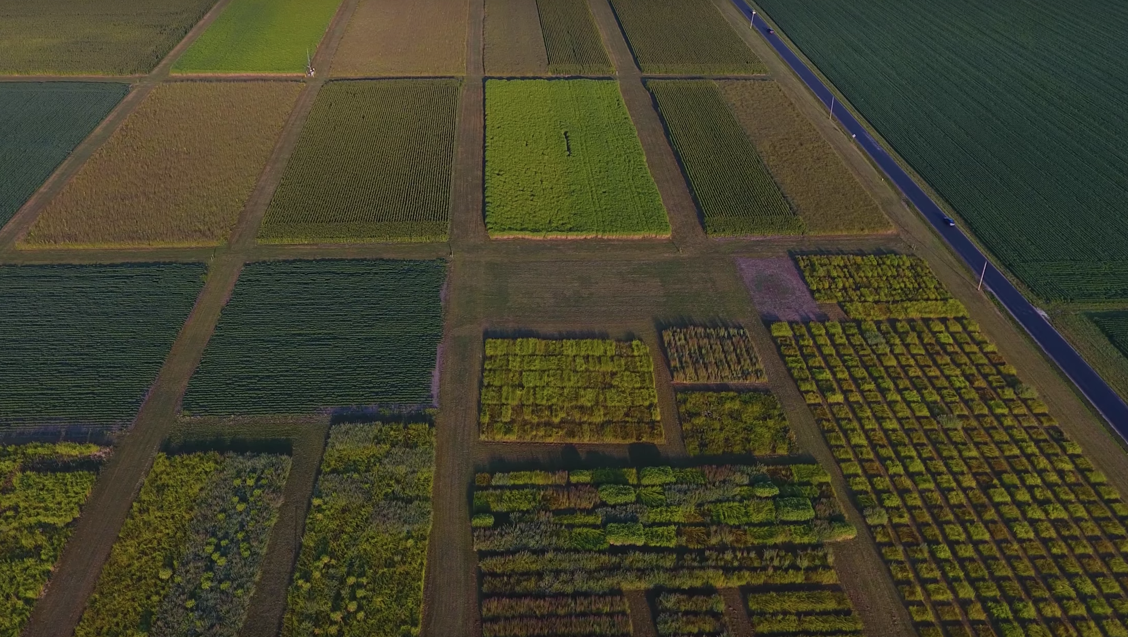 Arable farms already apply crushed rock in the form of limestone to reverse acidification of soils caused by farming practices, including the use of fertilizers. (Image: YouTube/Screenshot)