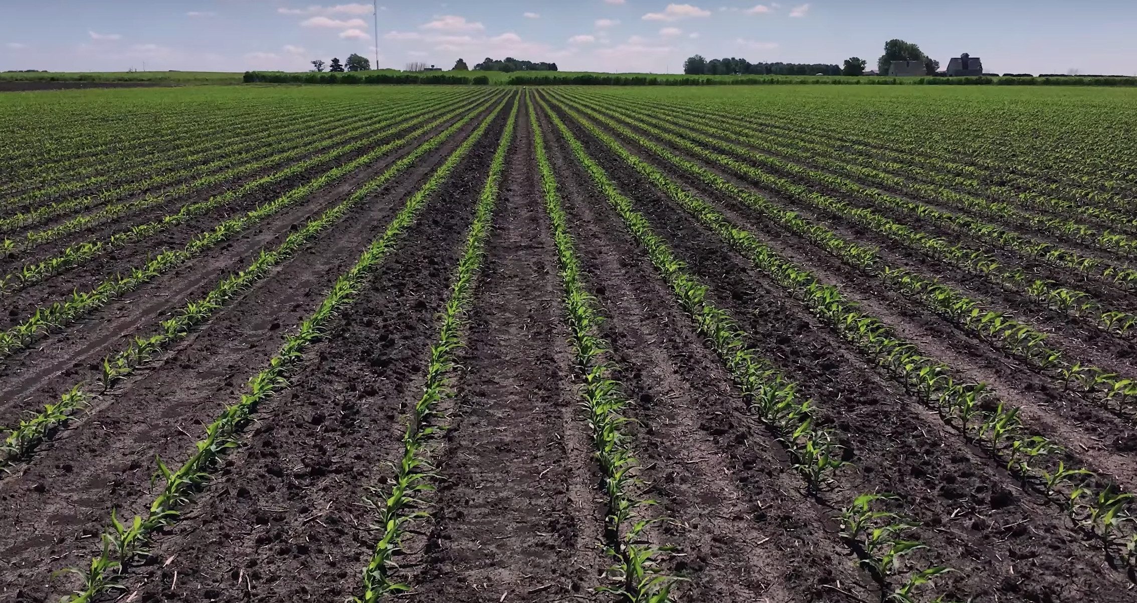Adding fast-reacting silicate rocks to croplands could capture CO2 and give increased protection from pests and diseases while restoring soil structure and fertility. (Image: YouTube/Screenshot)