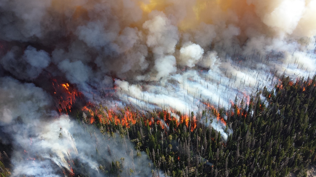 Massive wildfires that span hundreds or thousands of acres. (Image: pixabay / CC0 1.0)