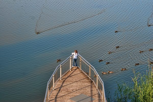 A young man refused to take credit for rescuing the girl from the lake. (Image via pixabay / CC0 1.0)