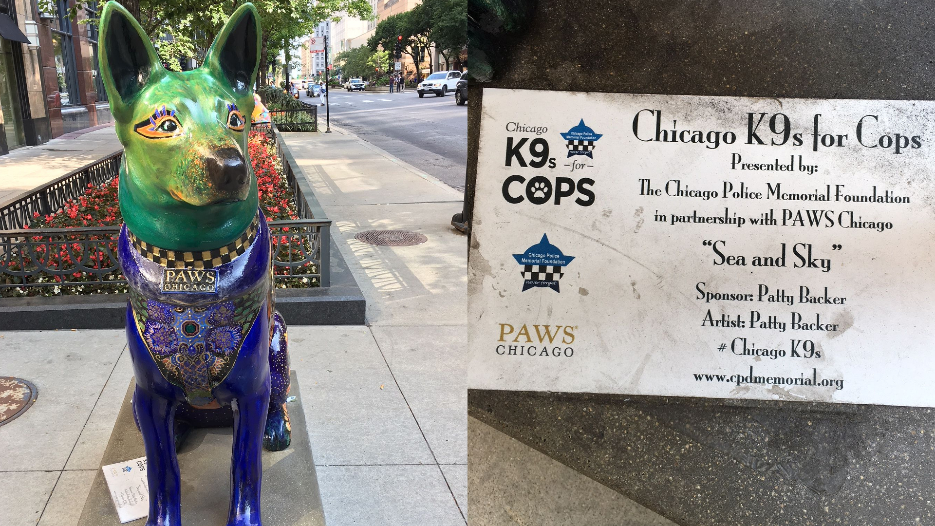 Sponsors may choose to purchase their K9 after the display period. (Image: Monica Song/Vision Times)