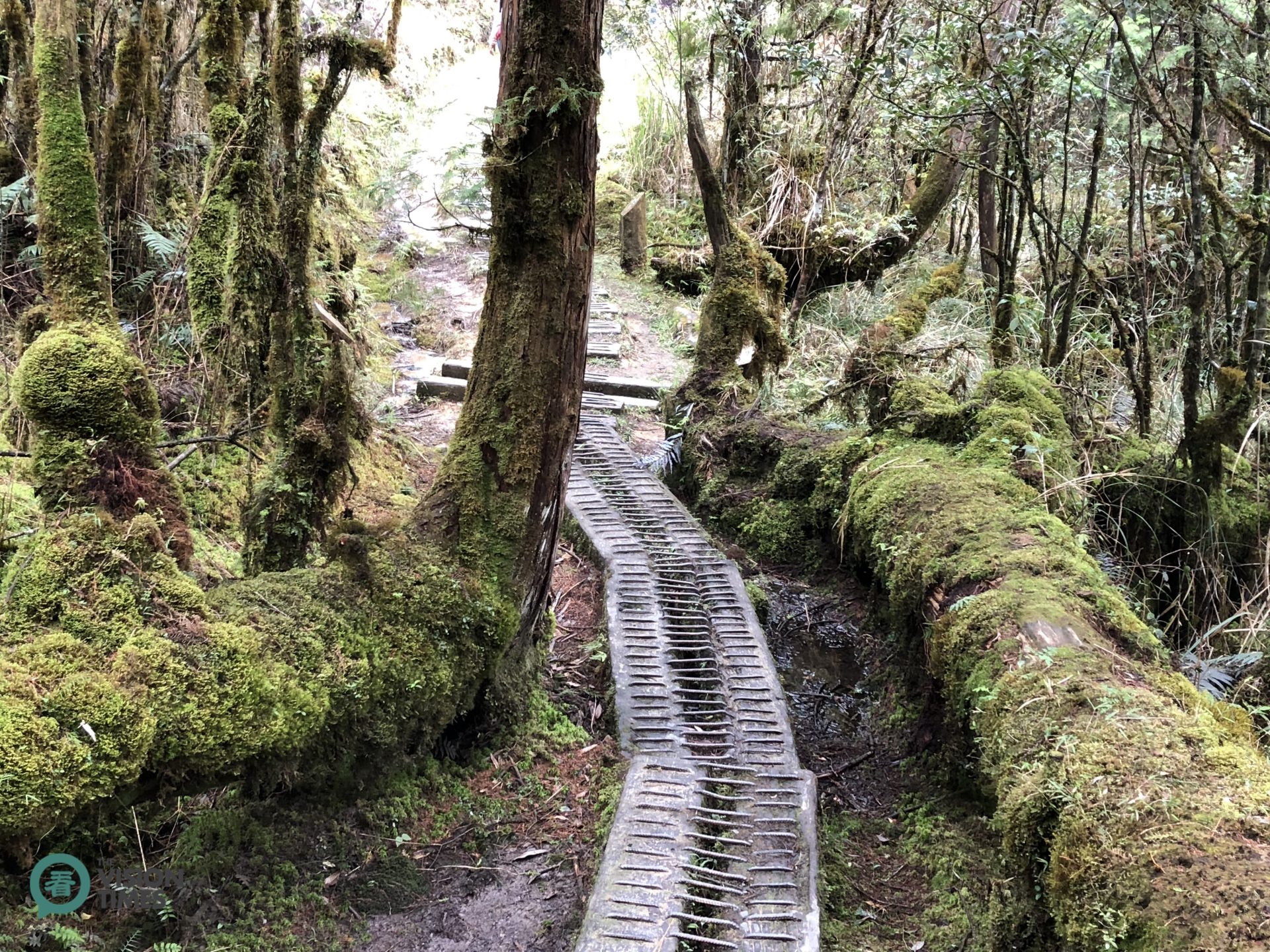 The Cueifong Lake Circular Trail is 3.95 km long, and it takes about 2.5 hours for a round trip. (Image: Billy Shyu / Vision Times)