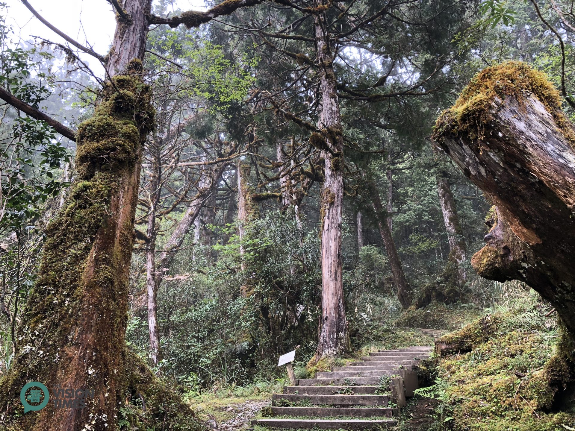 Since Cueifong Lake Circular Trail is deserted most of the time, it still keeps the original outlook of tens of thousands years ago. (Image: Billy Shyu / Vision Times)