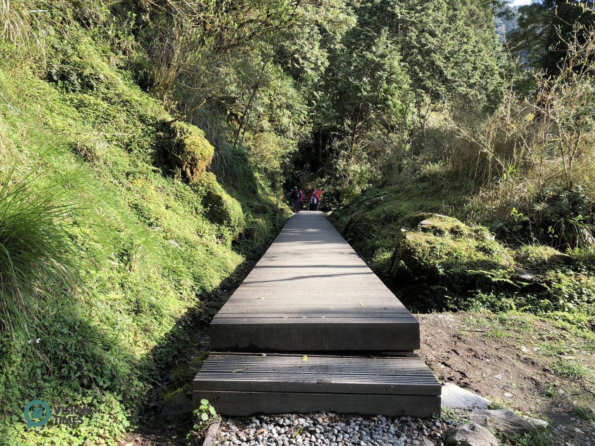 Jiancing Historic Trail is built by ecological engineering method to keep intact of the habitat and environment. )Image: Billy Shyu / Vision Times)