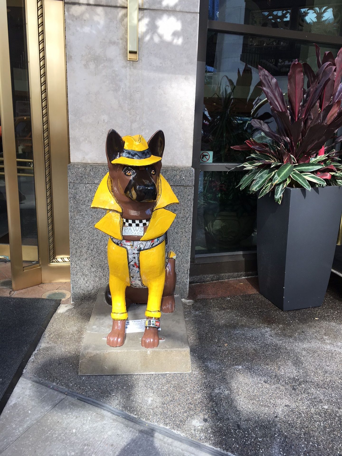 They will be on display in the Magnificent Mile Area from August 13th through September 30th. (Image: Monica Song/Vision Times) (Image: Monica Song/Vision Times)