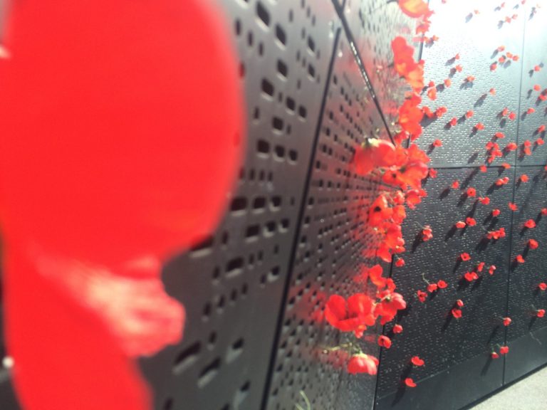 Photo by Trisha Haddock. Poppies in the Shrine of Remembrance.