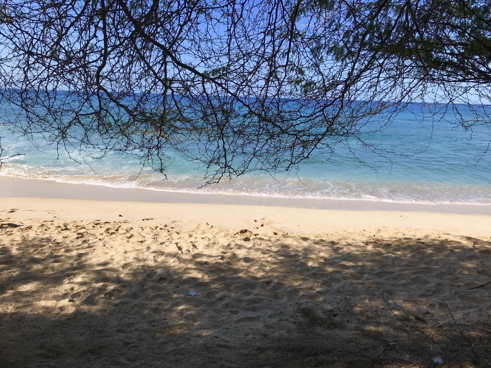 North Shore