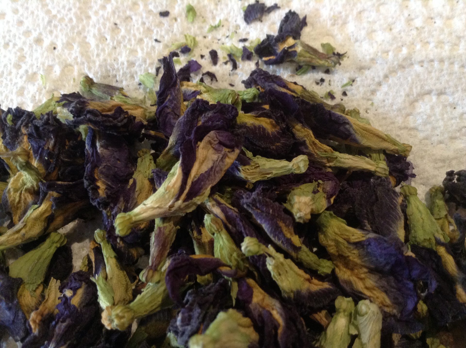 Butterfly Pea Blue Tea. (Image by Trisha Haddock).