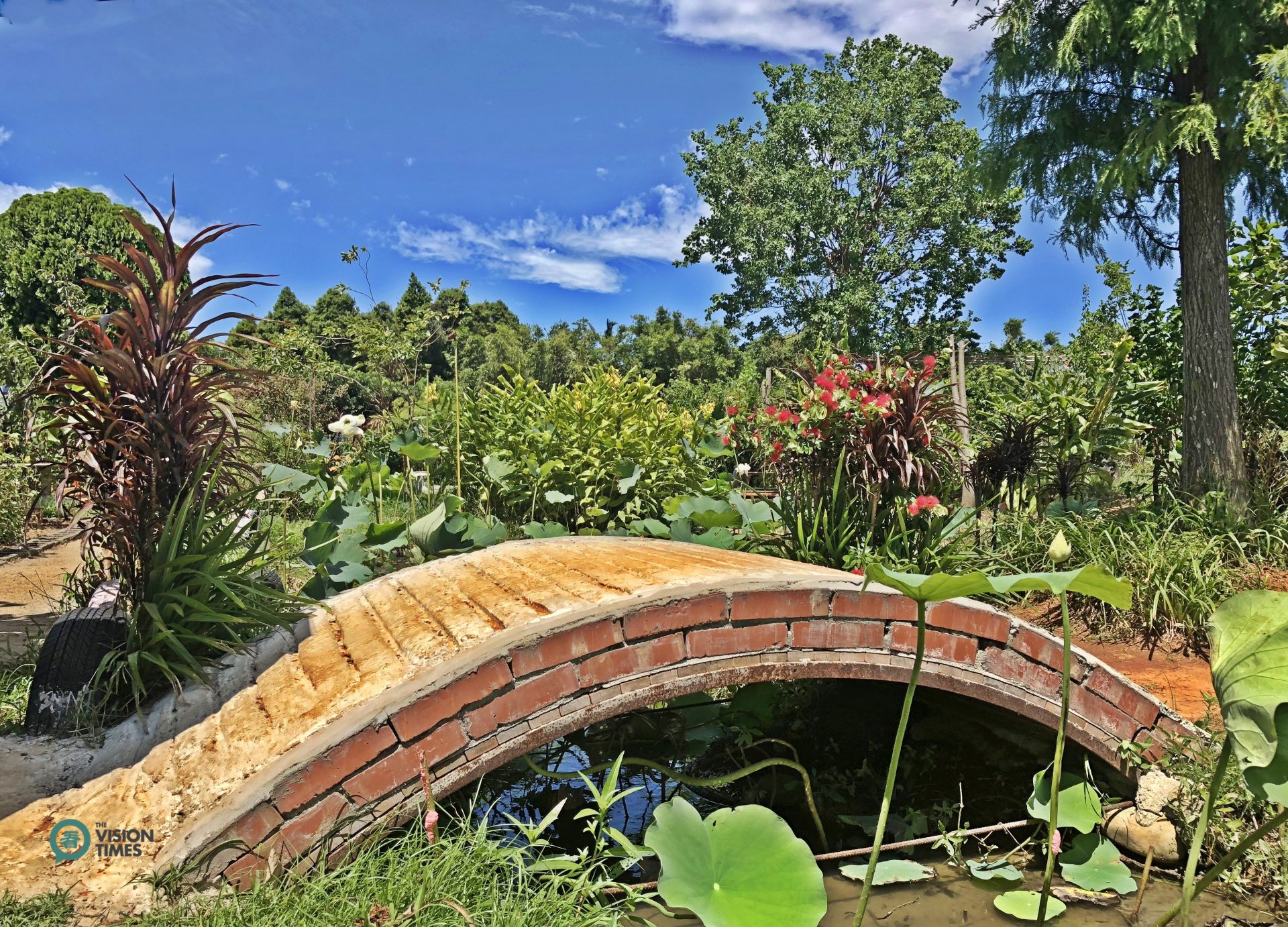 The beautiful garden in Lian He Garden Leisure Farm. (Image: Billy Shyu / Vision Times)