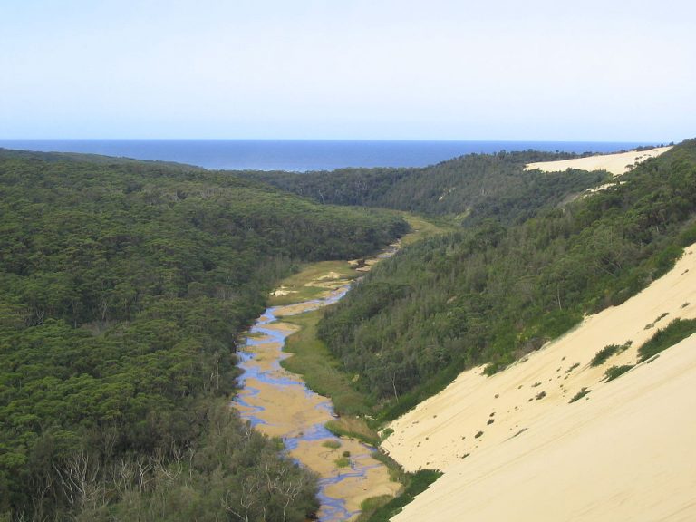 Mountain forests meet the coastal edge in East Gippsland.