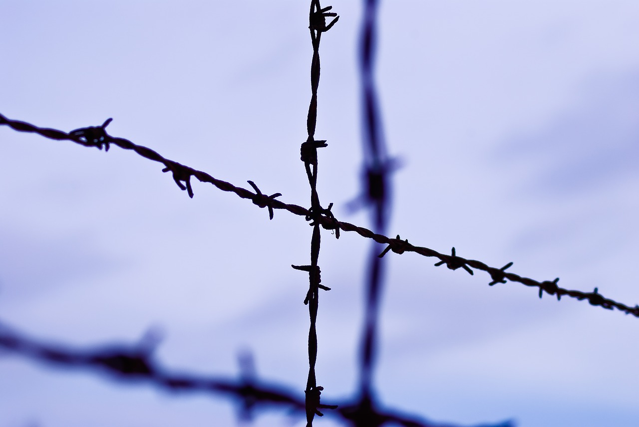 The book pointed out that the evil specter of communism and its various mutations are smashing the world with modern banners and slogans with pseudo-righteous intents. (Image: pixabay / CC0 1.0)