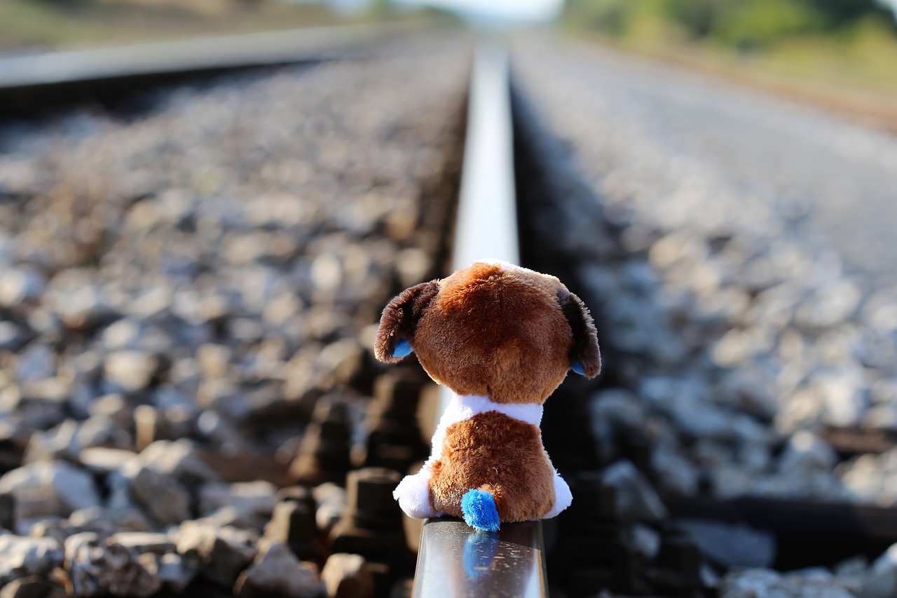 Most of the victims stated that they were either manipulated or drugged during the abuse. (Image via pixabay / CC0 1.0)