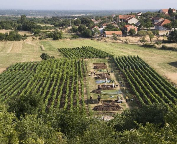 The archaeological site of Pokrovnik during excavation with the modern village, Dalmatia, Croatia. (Image: Andrew M.T. Moore)