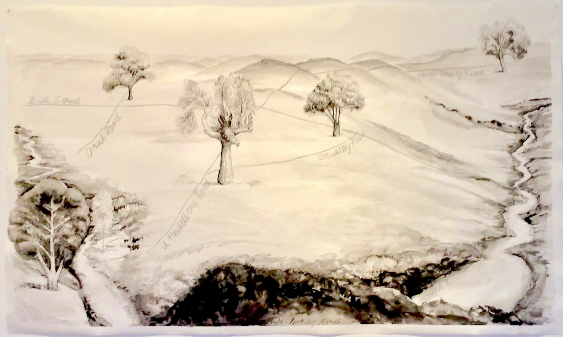 Urban Trees by Artist Fran Lee in her exhibition, For I have learned to look on nature.