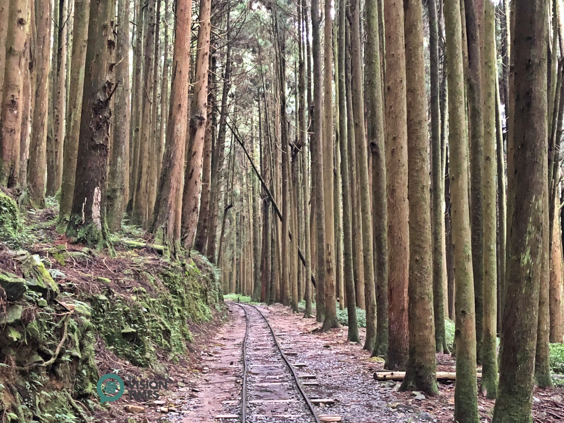 The Tefuye Old Trail was transformed from an abandoned railway and an old hunting trail. (Image: Billy Shyu / Vision Times)