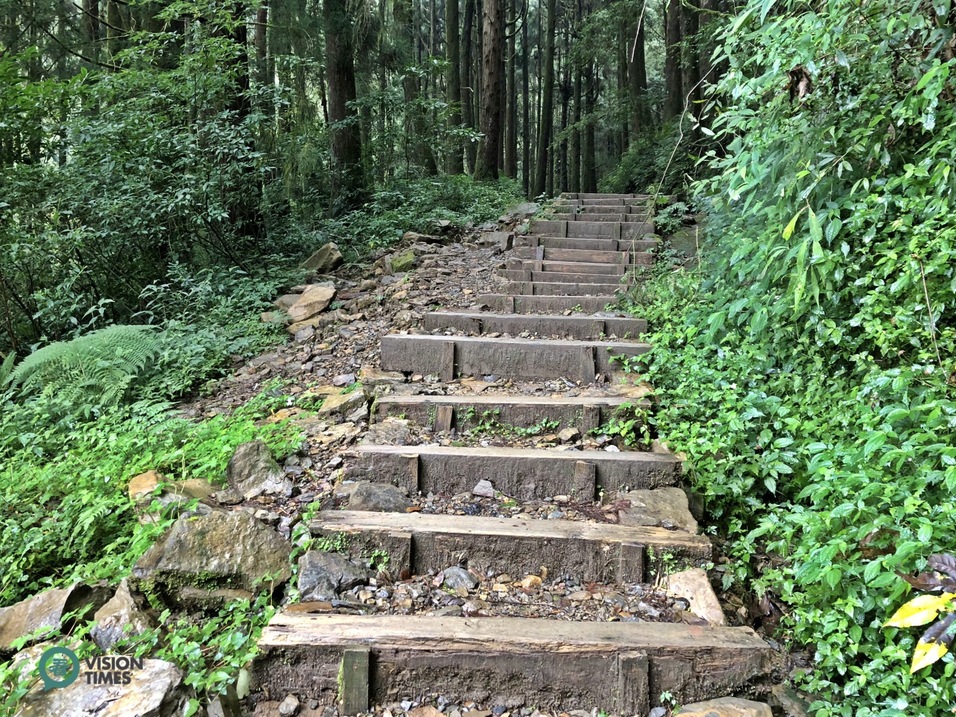 There are many steps on wooden ties along Tefuye Old Trail. (Image: Billy Shyu / Vision Times)